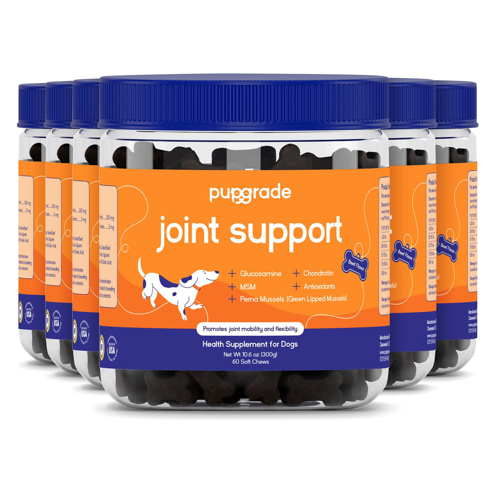 PupGrade friandises molles saveur boeuf, boîte prête à l'emploi pour soutenir la mobilité de votre chien.