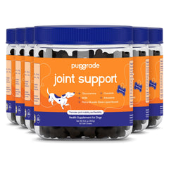 PupGrade friandises molles saveur boeuf, boîte prête à l'emploi pour soutenir la mobilité de votre chien.