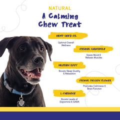 PupGrade Calming Chews – chien content et détendu après administration.