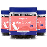 PupGrade boite, bouchées molles, soutien potentiel peau et pelage.