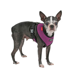 Harnais Puppia douceur encolure rembourrée, violet, confort lors des promenades.