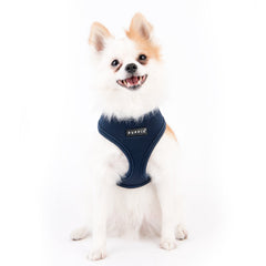 Puppia harnais doux, boucle rapide, enfilage facile.