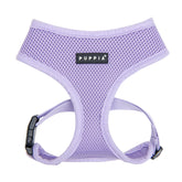 Harnais Puppia doux pour chien, confort respirant lors des balades.