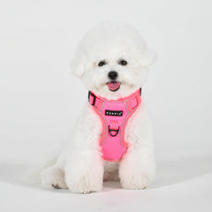 Harnais Puppia Neon rose – réfléchissant, visibilité accrue en balades nocturnes.