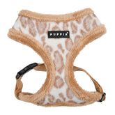 Harnais Puppia Kovo à enfiler par la tête avec motif léopard beige.