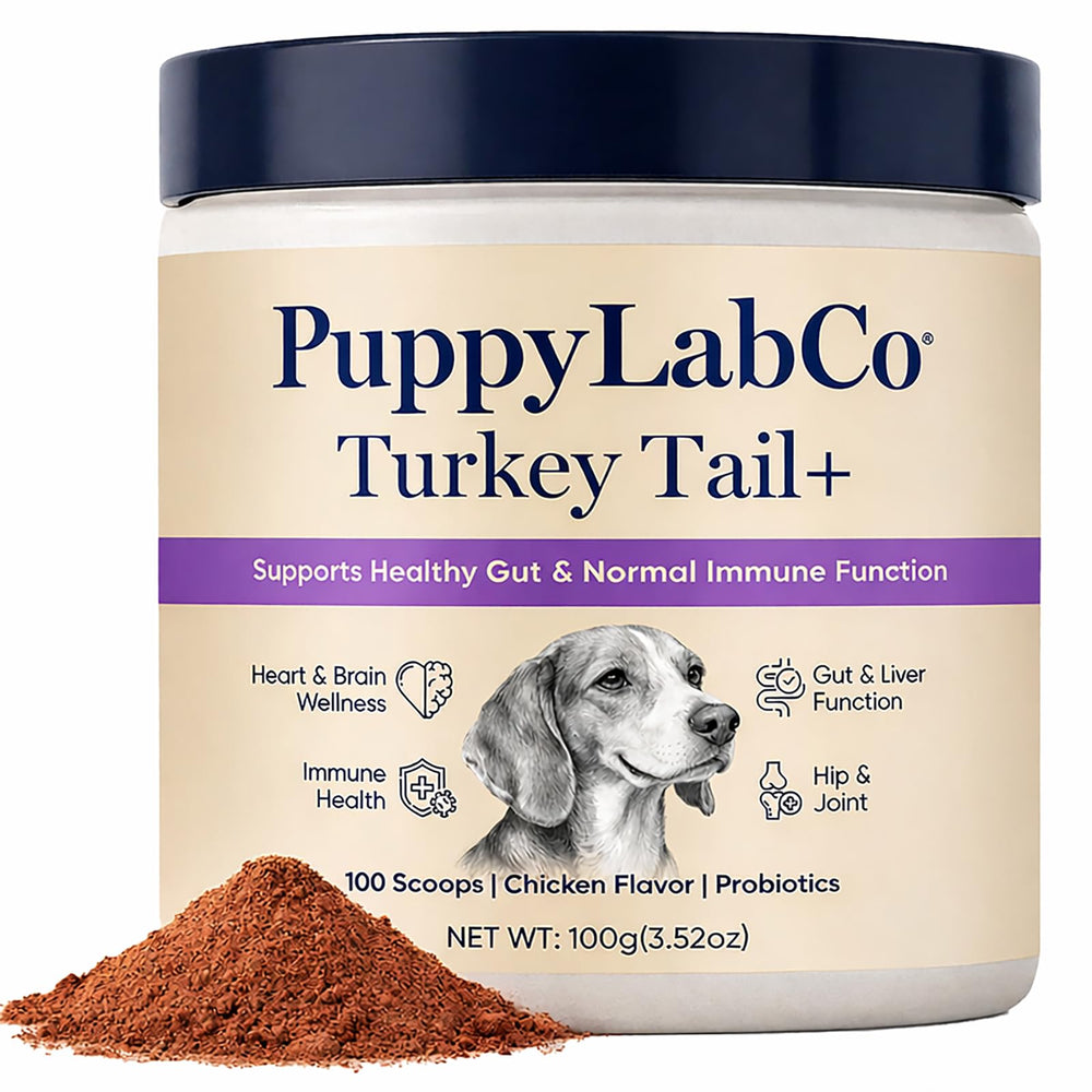PuppyLabCo queue-de-dinde – poudre probiotiques pour digestion saine chez les chiens.