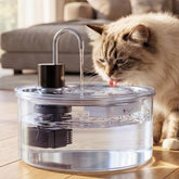 Puppyspout fontaine-chat-verre-108oz: hydratation continue et claire pour votre chat.