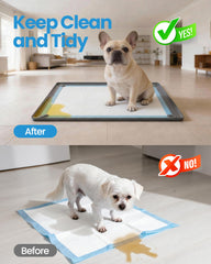 Puppyspout quatre clips magnétiques assurent fixation stable.