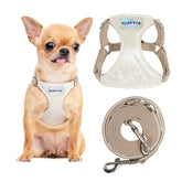 Harnais Puppytie pour chien moyen, sans traction, confort ajustable lors des promenades.