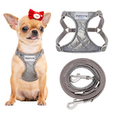 Harnais Puppytie sans traction avec poignee et longe, promenade plus sûre.