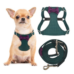 Harnais Puppytie sans traction XS sur petit chien, confort plaid vert