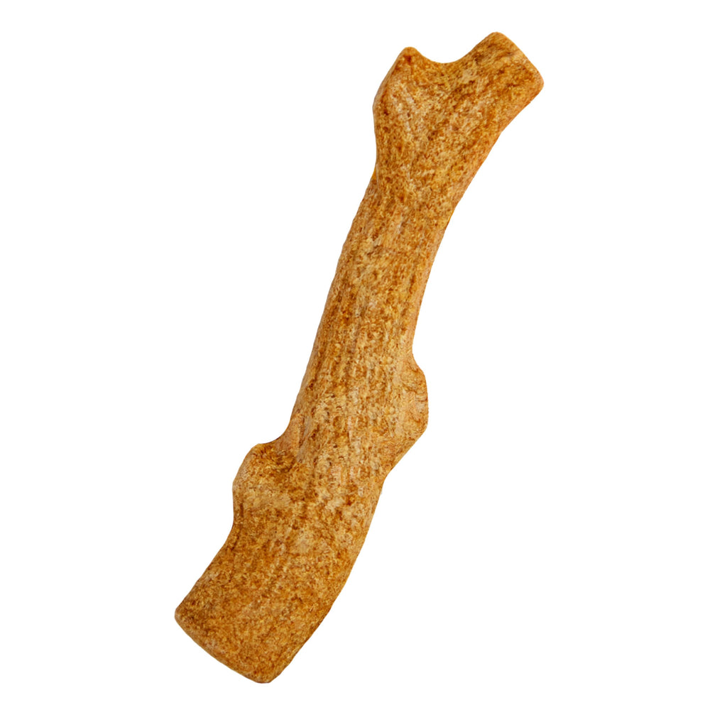 Pupstages Dogwood XS, bois réel et senteur naturelle pour une mastication engageante.