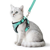 PUPTECK harnais-chat ajusté pour sorties sécurisées en plein air.