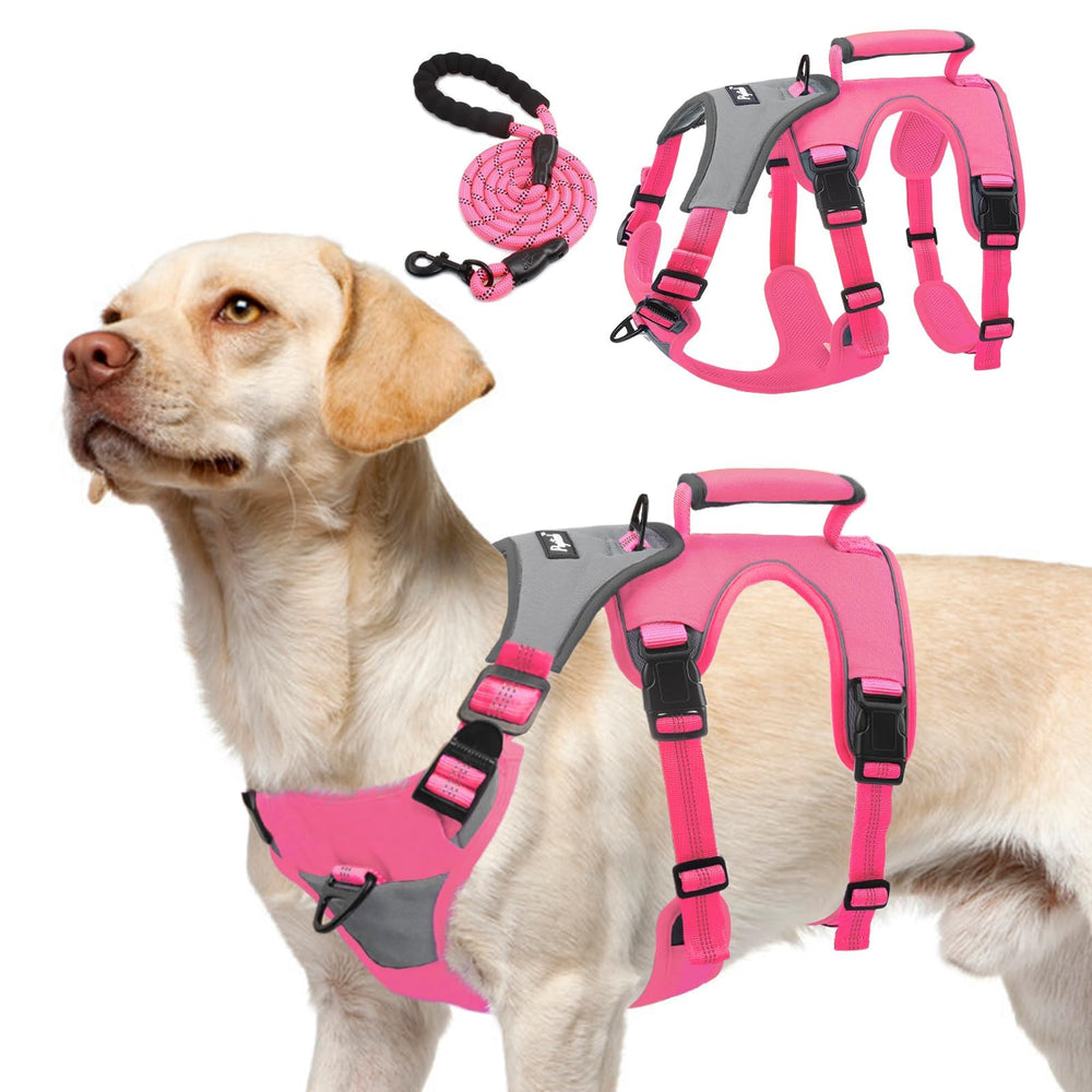 Harnais PUPTECK anti-échappement, contrôle renforcé pour chiens actifs lors des sorties.