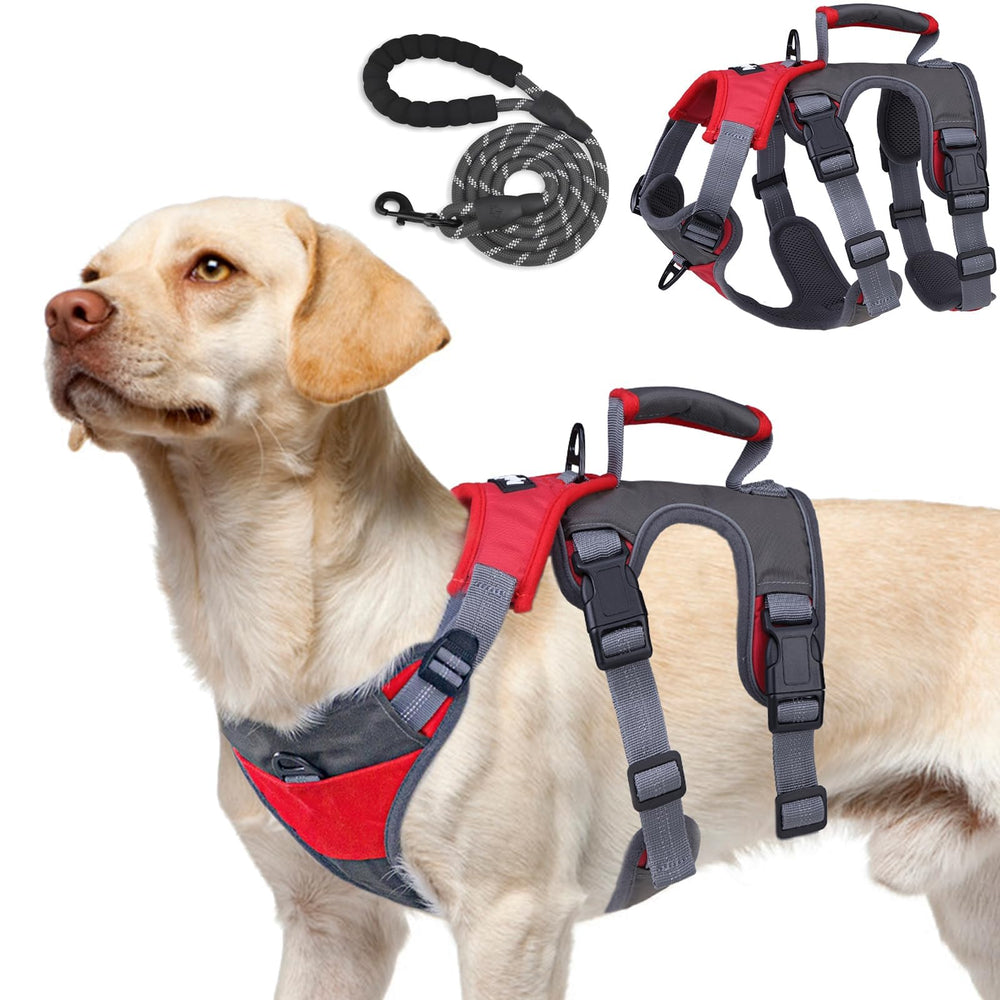 Harnais PUPTECK anti-tir avec clip avant pour entraînement sans traction.