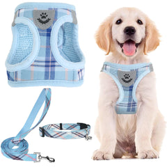 Harnais PUPTECK bleu en mesh doux pour confort quotidien