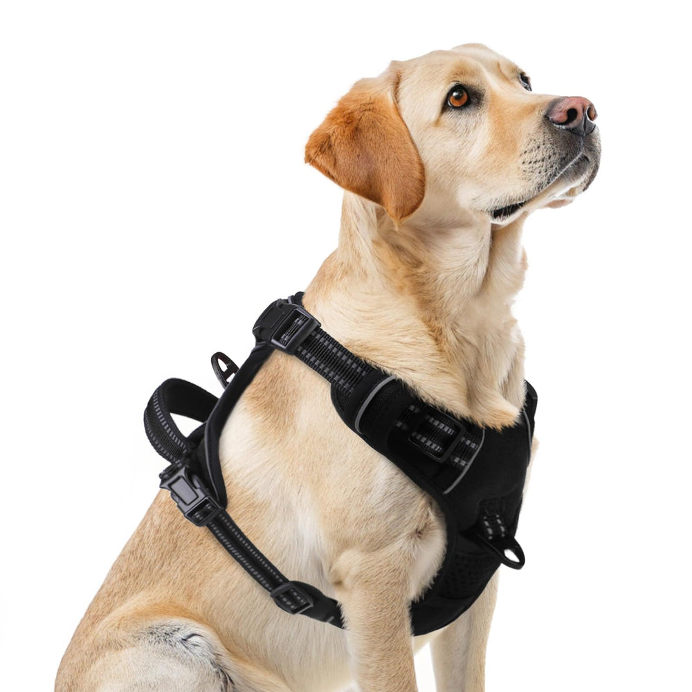 Harnais PUPTECK sans traction pour grands chiens, meilleure répartition de la traction lors des balades.