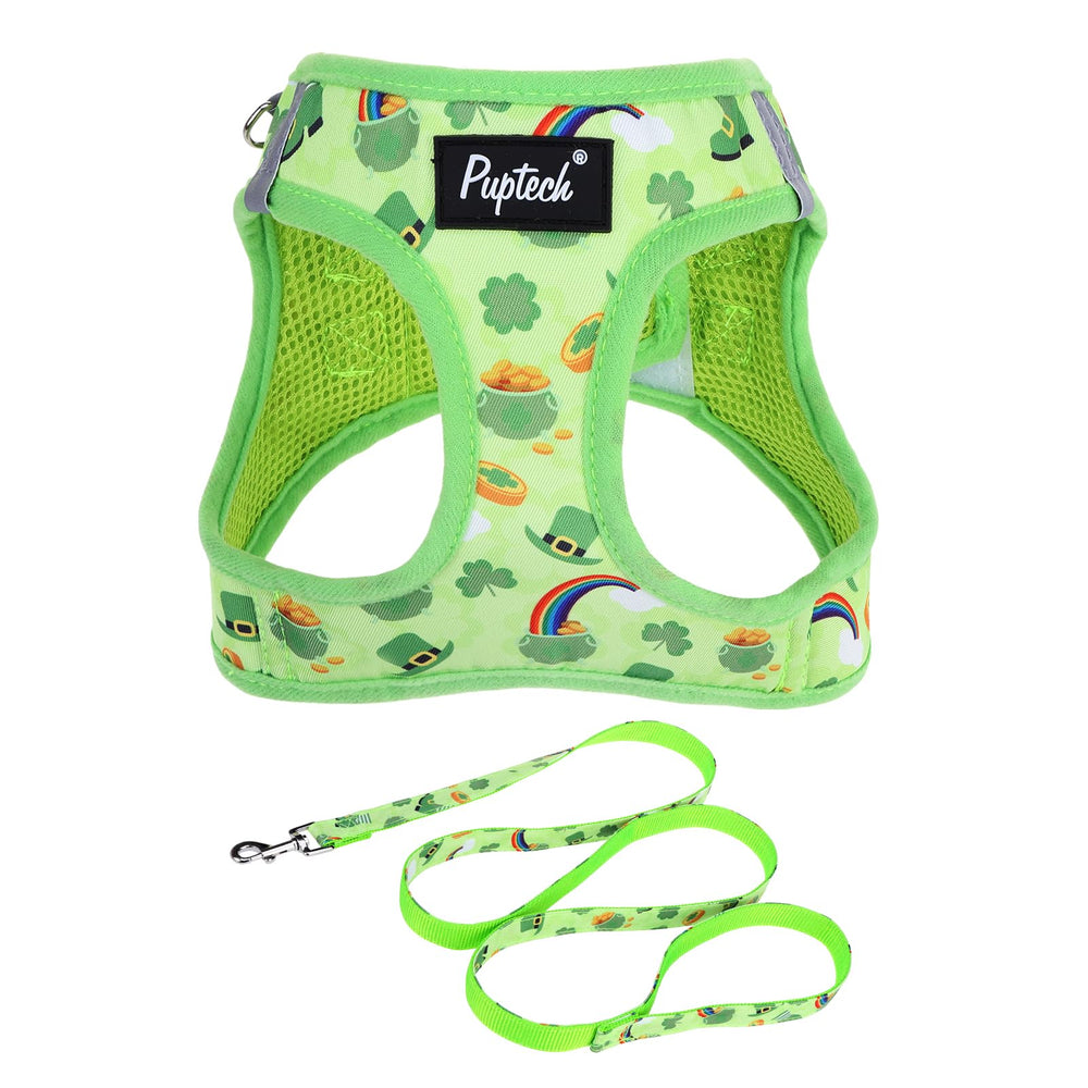 Harnais et laisse PUPTECK pour petits chiens, ensemble pratique et confortable.