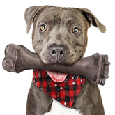 Jouet Os indestructible PUPTILY pour gros chien, résistant et sûr pour les sessions de mastication.