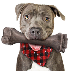 Jouet Os indestructible PUPTILY pour gros chien, résistant et sûr pour les sessions de mastication.