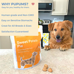 Pupums biscuits sans céréales: option légère pour chiens sensibles.