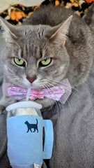 Jouet Kitty Cup de PUPROAR, peluche douce et herbe à chat pour chaton.