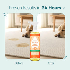 Puracy Nettoyant enzymatique – tapis et tissu propres, sans rinçage ni effort.