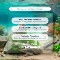 Pure Water Pebbles Lasernite Glo dans un terrarium pour un effet éclatant.