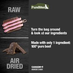 Chien savourant PureBites Boeuf Jerky lors d une séance d entraînement.