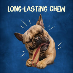 Purina Busy Beggin’ Twist’d mini, texture ferme favorise une longue mastication.