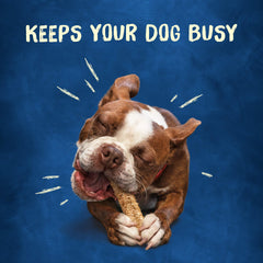 Purina Busy Chewnola illustration heure du goûter, repère visuel attractif