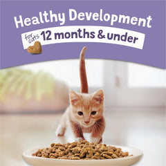 Kibble Purina Kitten Chow en gros plan mettant en valeur la texture.