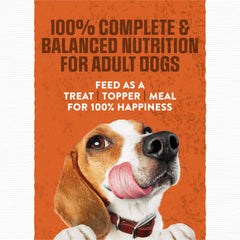 Purina Moist et Meaty – saveur cheddar pour chien, appétit stimulé.