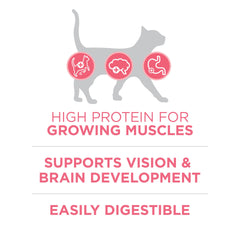 Purina ONE chatons, antioxydants soutiennent l'immunité.