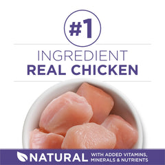Purina ONE croquettes chat croustillantes, texture appréciée et dents soutenues.