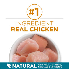 Purina One Chat croquettes poulet reel et legumes pour digestion équilibrée.