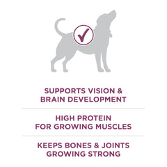 Glucosamine naturelle dans Purina ONE Plus, soutien potentiel des articulations en croissance.