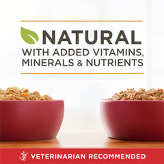 Variété Pack Purina One, six boîtes de 13 oz pour repas réguliers.