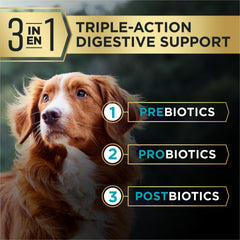 Purina Pro Plan AdvantEDGE sans-maïs-blé-soja: formule adaptée.