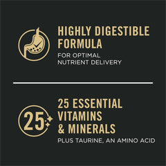 Chat mangeant dans sa gamelle Purina Pro Plan