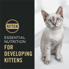 Purina Pro Plan Kitten DHA pour le développement cérébral et visuel.