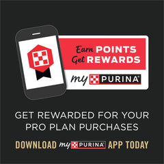 Purina Pro Plan – poulet réel et ingrédients de haute qualité pour chats.