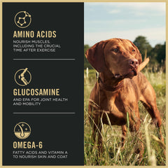 Purina Pro Plan Sport glucosamine EPA, articulations et mobilité.
