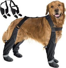 PurrHug bottes chien bretelles imperméables pour stabilité sur sols mouillés.