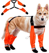 PurrHug bottes chien suspendues impermeables offrant une stabilite sur terrains mouilles.