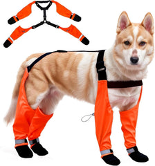 PurrHug bottes chien suspendues impermeables offrant une stabilite sur terrains mouilles.