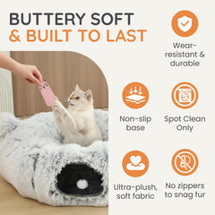 Purrpuff ouverture-regard chat attire curiosité et refuge discret