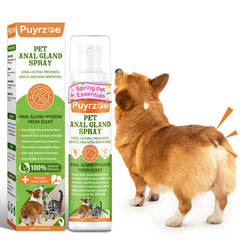 Puyrzoe: bouteille spray anal pour soulager l'inconfort