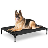 PVY lit chien élevé extérieur 42x30, repos sûr et stable en plein air.