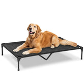 PVY lit chien élevé extérieur montre le cadre robuste et maillage Textilene lavable.